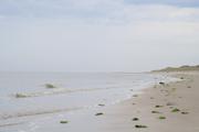../galleries/2022.09.07_Urlaub_Amrum_-_Tag_5_-_Strand/DSC_4297.thumbnail.jpg