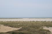 ../galleries/2022.09.08_Urlaub_Amrum_-_Tag_6_-_Wittdün/DSC_4403.thumbnail.jpg