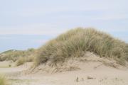 ../galleries/2022.09.08_Urlaub_Amrum_-_Tag_6_-_Wittdün/DSC_4416.thumbnail.jpg
