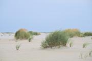 ../galleries/2022.09.08_Urlaub_Amrum_-_Tag_6_-_Wittdün/DSC_4420.thumbnail.jpg