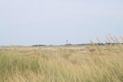 ../galleries/2022.09.08_Urlaub_Amrum_-_Tag_6_-_Wittdün/DSC_4466.thumbnail.jpg