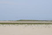 ../galleries/2022.09.08_Urlaub_Amrum_-_Tag_6_-_Wittdün/DSC_4473.thumbnail.jpg