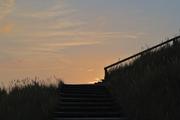 ../galleries/2022.09.09_Urlaub_Amrum_-_Tag_7_-_Vogelkoje_und_Sonnenuntergang/DSC_4592.thumbnail.jpg