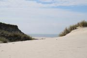 ../galleries/2022.09.10_Urlaub_Amrum_-_Tag_8_-_Dünenwanderweg_und_Sonnenuntergang/DSC_4623.thumbnail.jpg