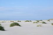 ../galleries/2022.09.10_Urlaub_Amrum_-_Tag_8_-_Dünenwanderweg_und_Sonnenuntergang/DSC_4648.thumbnail.jpg