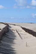 ../galleries/2022.09.11_Urlaub_Amrum_-_Tag_9_-_Nordspitze/DSC_4708.thumbnail.jpg