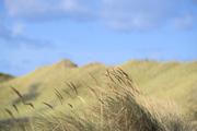 ../galleries/2022.09.13_Urlaub_Amrum_-_Tag_11_-_Nordspitze/DSC_4725.thumbnail.jpg