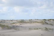 ../galleries/2022.09.15_Urlaub_Amrum_-_Tag_13_-_Dünenwanderweg/DSC_4774.thumbnail.jpg
