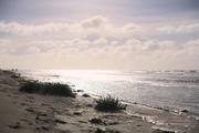 ../galleries/2022.09.16_Urlaub_Amrum_-_Tag_14_-_Nordspitze_und_Hochwasser/DSC_4834.thumbnail.jpg