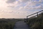 ../galleries/2022.09.16_Urlaub_Amrum_-_Tag_14_-_Nordspitze_und_Hochwasser/DSC_4840.thumbnail.jpg