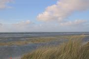 ../galleries/2022.09.16_Urlaub_Amrum_-_Tag_14_-_Nordspitze_und_Hochwasser/DSC_4856.thumbnail.jpg