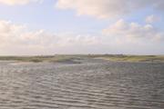 ../galleries/2022.09.16_Urlaub_Amrum_-_Tag_14_-_Nordspitze_und_Hochwasser/DSC_4862.thumbnail.jpg