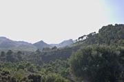 ../galleries/2022.10.16_Urlaub_Mallorca_-_Tag_2_-_Llevant_Rundwanderung/DSC_5063.thumbnail.jpg