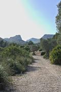 ../galleries/2022.10.16_Urlaub_Mallorca_-_Tag_2_-_Llevant_Rundwanderung/DSC_5065.thumbnail.jpg