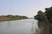 ../galleries/2022.10.19_Urlaub_Mallorca_-_Tag_5_-_Parc_Natural_de_s_Albufera_de_Mallorca/DSC_5109.thumbnail.jpg