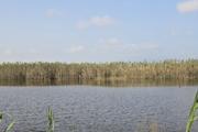 ../galleries/2022.10.19_Urlaub_Mallorca_-_Tag_5_-_Parc_Natural_de_s_Albufera_de_Mallorca/DSC_5122.thumbnail.jpg