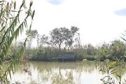 ../galleries/2022.10.19_Urlaub_Mallorca_-_Tag_5_-_Parc_Natural_de_s_Albufera_de_Mallorca/DSC_5131.thumbnail.jpg
