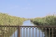 ../galleries/2022.10.19_Urlaub_Mallorca_-_Tag_5_-_Parc_Natural_de_s_Albufera_de_Mallorca/DSC_5138.thumbnail.jpg