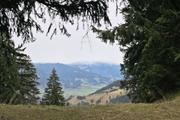 ../galleries/2023.01.08_Urlaub_Allgäu_-_Tag_3_-_Gschwender_Horn_und_Immenstädter_Horn/DSC_6052.thumbnail.jpg