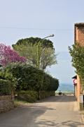 ../galleries/2023.04.30_Urlaub_Toskana_-_Tag_2_-_Pienza/DSC_6594.thumbnail.jpg