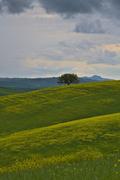 ../galleries/2023.04.30_Urlaub_Toskana_-_Tag_2_-_Pienza/DSC_6704.thumbnail.jpg