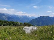 ../galleries/2023.06.30_Urlaub_MTB_Alpe_Adria_-_Tag_7_-_Bovec_-_Kobarid/20230630_122022.thumbnail.jpg