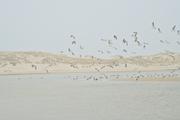 ../galleries/2024.03.13_Urlaub_Amrum_-_Tag_4_-_Quermarkenfeuer/DSC_1003.thumbnail.jpg