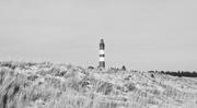 ../galleries/2024.03.14_Urlaub_Amrum_-_Tag_5_-_Nordspitze,_Nebel_und_Wriakhörnsee/DSC_1041.thumbnail.jpg