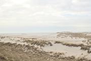 ../galleries/2024.03.15_Urlaub_Amrum_-_Tag_6_-_Quermarkenfeuer/DSC_1073.thumbnail.jpg