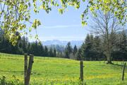 ../galleries/2024.04.14_Wandern_im_Allgäu_-_Tag_3_-_Alpsee/DSC_1773.thumbnail.jpg