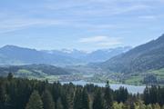 ../galleries/2024.04.14_Wandern_im_Allgäu_-_Tag_3_-_Alpsee/DSC_1781.thumbnail.jpg